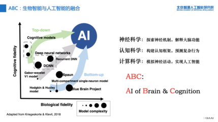 图灵测试要出2.0版?智源研究院重磅发布「人工智能的认知神经基础」